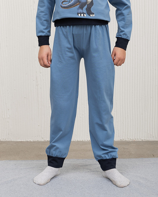 Пижама детская комплект со штанами Тиранозавр Рекс Tom John 89188 3-4 Киев - изображение 2