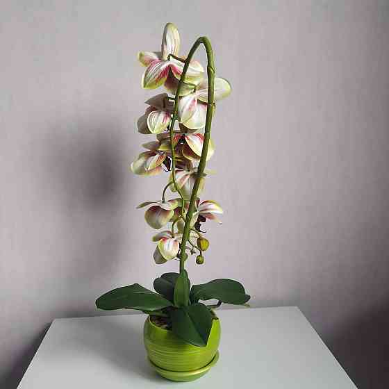 Штучна латексна орхідея VIP в салатовому керамічному кашпо на одну гілку салатово-рожева Дніпро