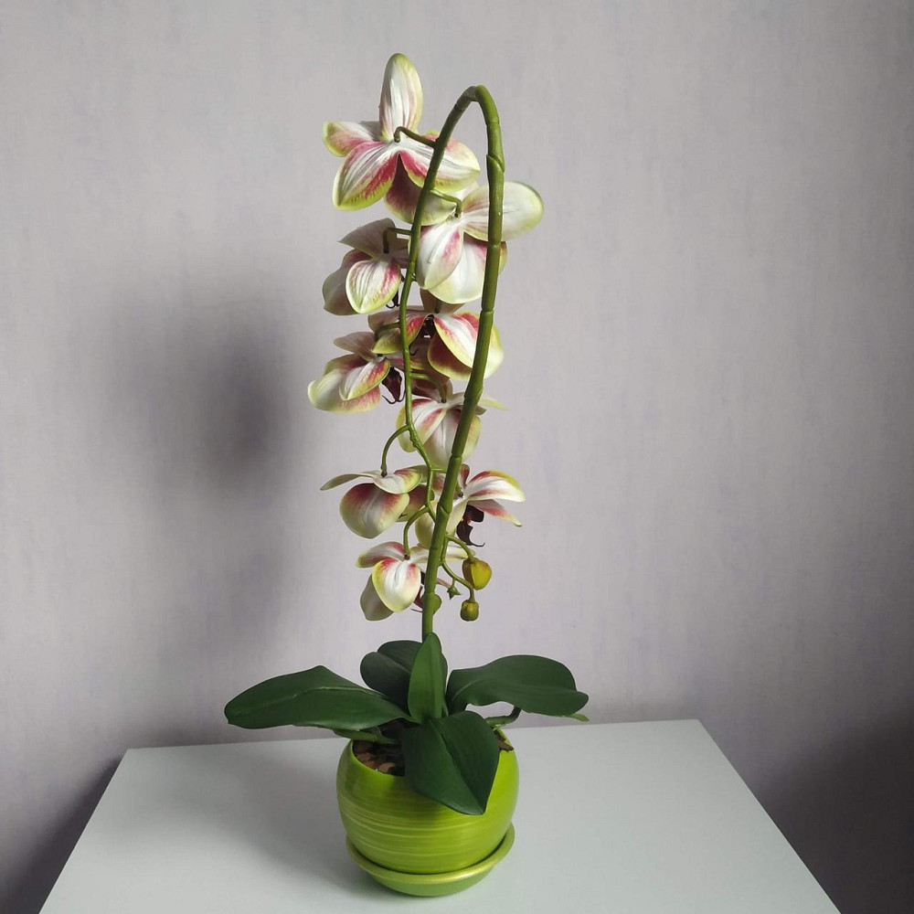 Штучна латексна орхідея VIP в салатовому керамічному кашпо на одну гілку салатово-рожева Дніпро - фото 5