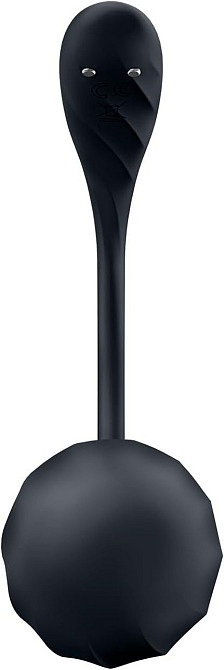 Вибратор в трусики Satisfyer Ribbed Petal с приложением и пультом, черный Sex Aura Киев - изображение 4