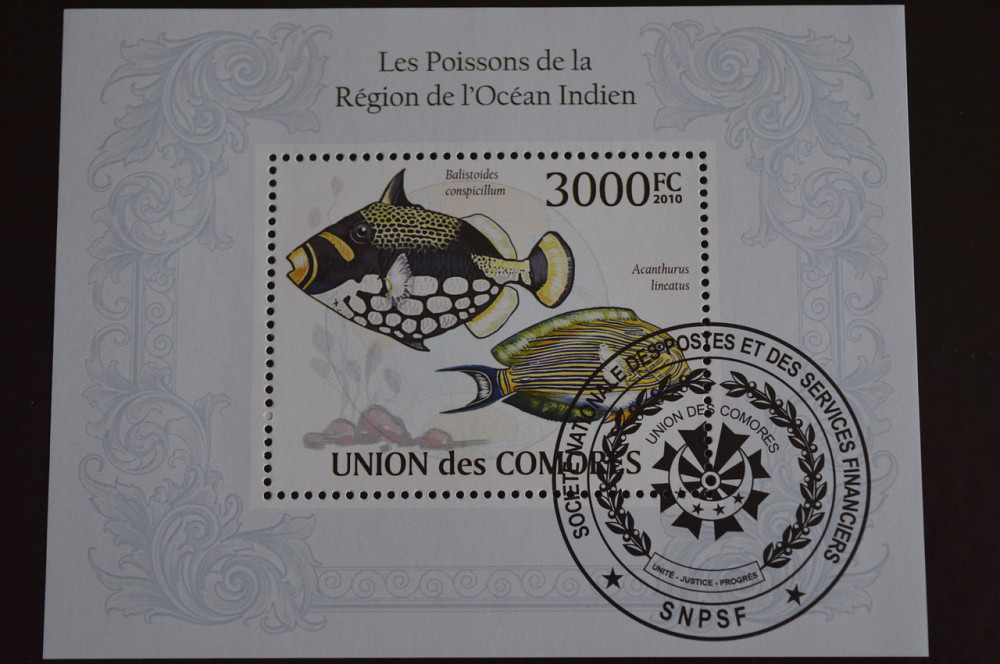 Комори. Фауна. Марки. Блок. 2010 рік (Т) Полтава - фото 1