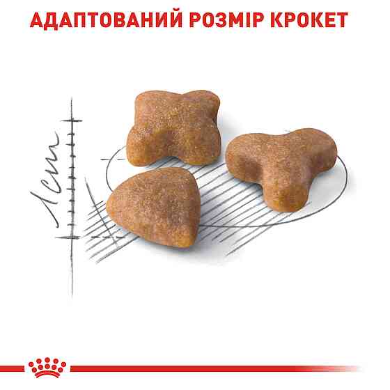 Корм для дорослих котів з чутливою травною системою ROYAL CANIN SENSIBLE 0.4 кг Київ