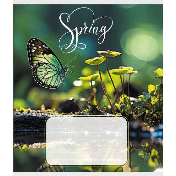 Тетрадь ученическая 