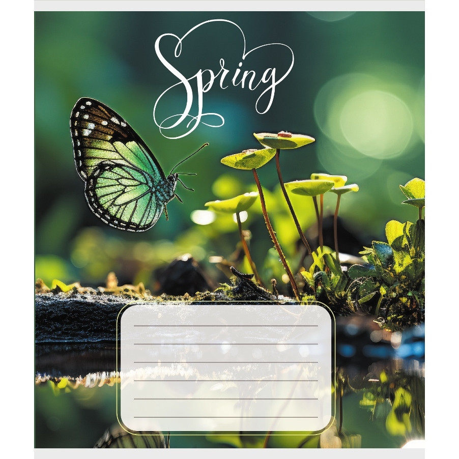 Тетрадь ученическая 