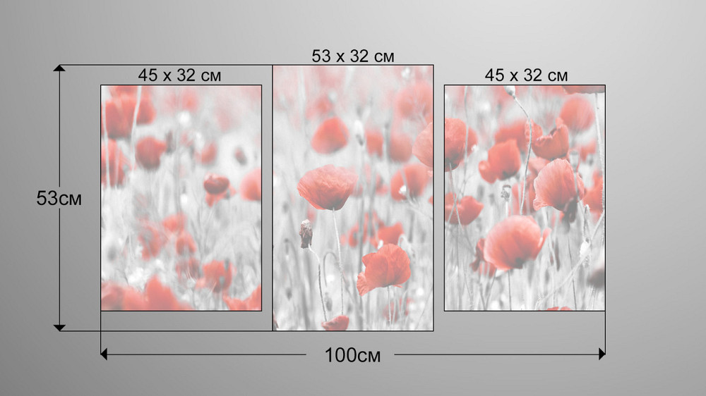 Модульна картина Квіти Маки (53х100см) Art-137_3 Київ - фото 3