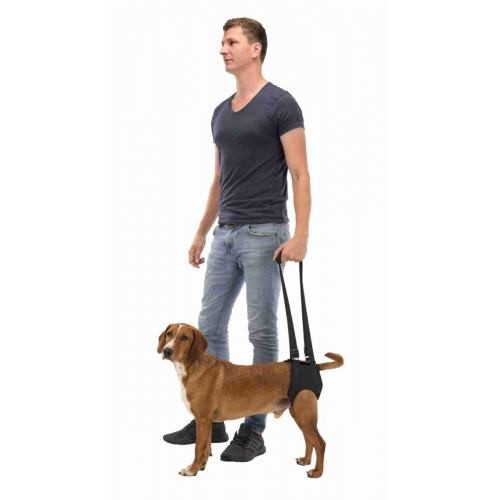 Пояс Trixie для собак підтримуючий неопреновий чорний M: 55–65 см Київ - фото 7