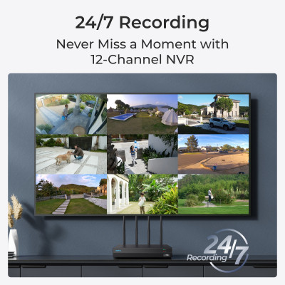 Регистратор для видеонаблюдения Reolink NVS12W Винница - изображение 6