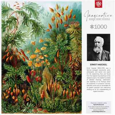 Пазл GoodLoot Imagination: Ernst Haeckel Muscinae 1000 элементов (5908305239642) Винница