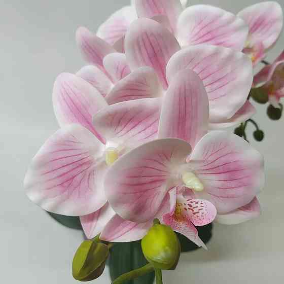 Штучна латексна міні орхідея преміум у сірому керамічному кашпо на дві гілки біло-рожева. Дніпро