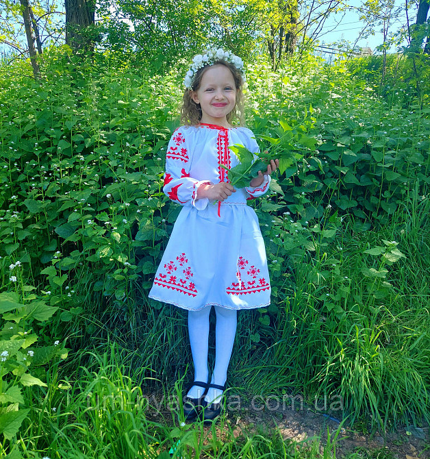 Платье вышиванка белое с ласточками 104-158 Кривой Рог - изображение 2