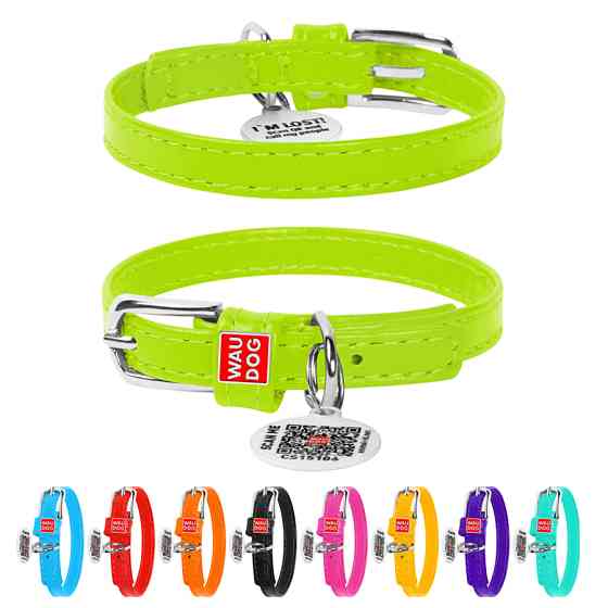 Нашийник для собак шкіряний WAUDOG Glamour з QR паспортом, без прикрас, XXS, Ш 9 мм, Дов 19-25 Коломыя