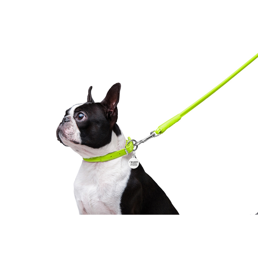 Повідець для собак шкіряний WAUDOG Glamour круглий, Д 8 мм, Дов 122 см салатовий Коломыя - изображение 2