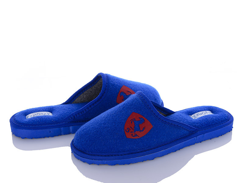 Капці підліткові хлопчик свій PaGo "Червоний Ferrari" Сині 38 Одеса - фото 1