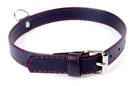 Нашийник зі штучної шкіри Fetish Boss Series - Collar Red Line, BS3300112 Sex Aura Київ