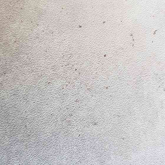 Шпалери вінілові на флізелін Rasch Factory 0.53х10,05 під штукатурку під бетон структурні сірі рожеві 939521 Київ