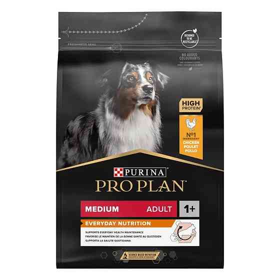 Сухий корм PRO PLAN Medium Adult 1+ Everyday Nutrion для дорослих собак середніх порід, з куркою, 3 кг Київ