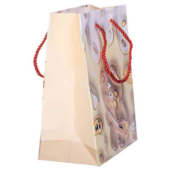 Набір подарункових пакетів з паперу 12 (шт.) картонні гарні пакети для подарунків 18×10×22.5 (см) HP-10359-20 Київ