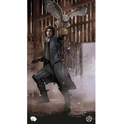 Гральні карти Scarabeo Таро Будинок з привидами (Haunted House Tarot) (EX241MU) Вінниця - фото 3