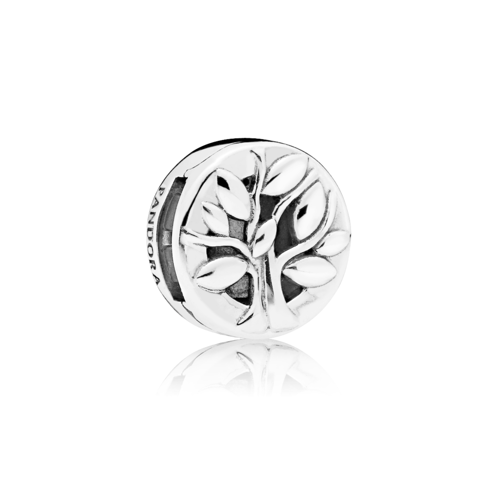 Серебряный шарм Пандора    