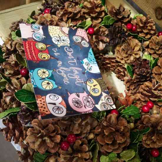 Листівка Совушки Вінниця