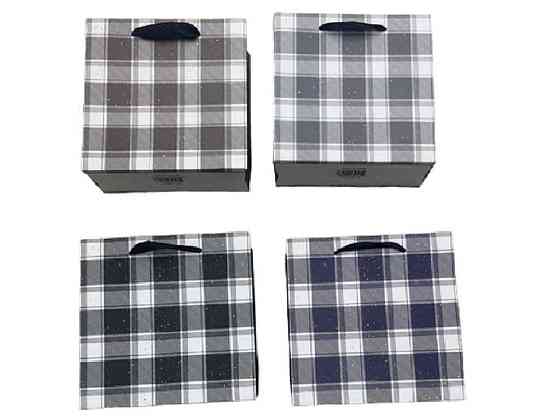 Пакет подарочный S 18*23*10см Checkered R94995-S ТМ КИТАЙ Киев