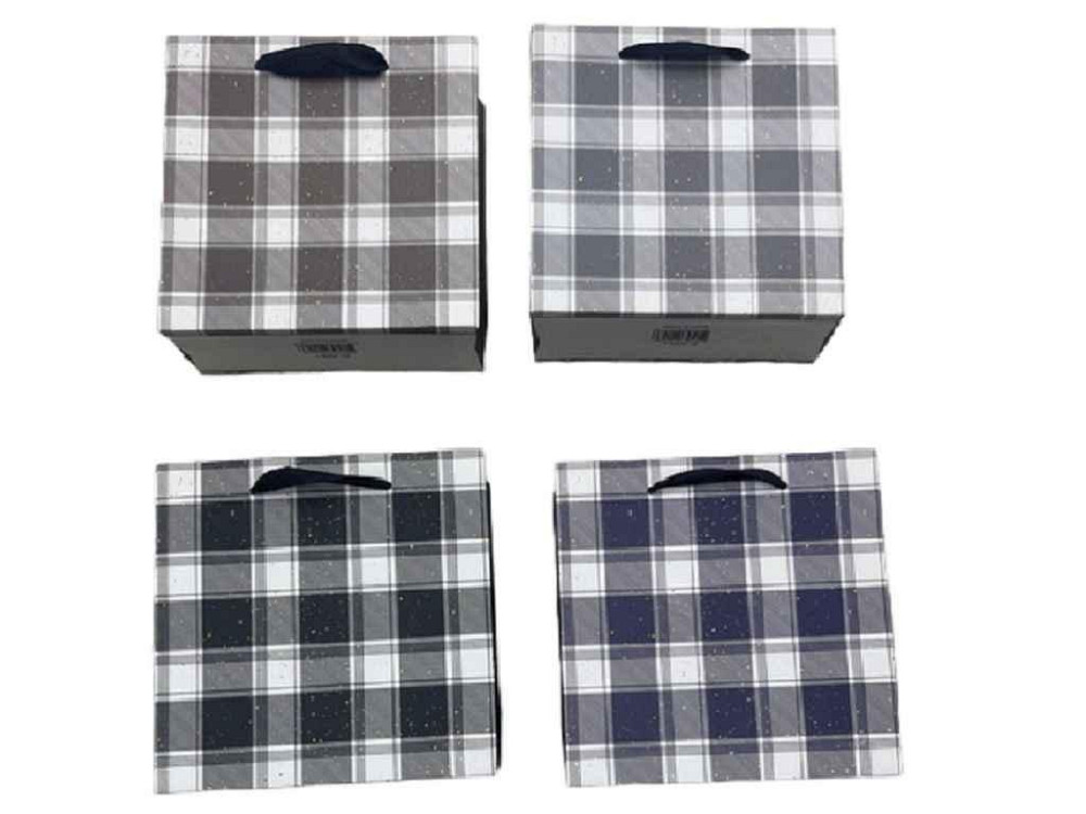 Пакет подарочный S 18*23*10см Checkered R94995-S ТМ КИТАЙ Киев - изображение 1
