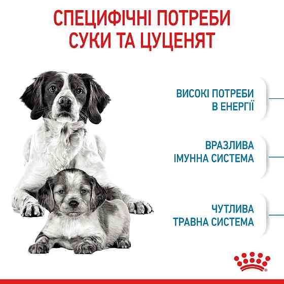 Royal Canin Medium Starter (Рояв Канін Медіум Стартер Мазер Бебідог) корм для вагітних собак 11-25 кг 1 кг. Запоріжжя
