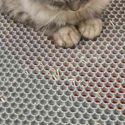 Коврик для животных Petkit Litter Clean Pad (P9901P) Винница