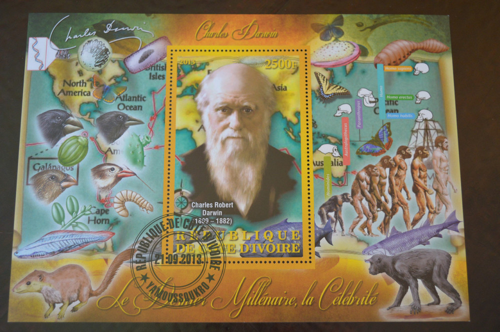 Кот-д’Ивуар. История. Личности. Блок. 2013 год (Б-1) Полтава - изображение 1