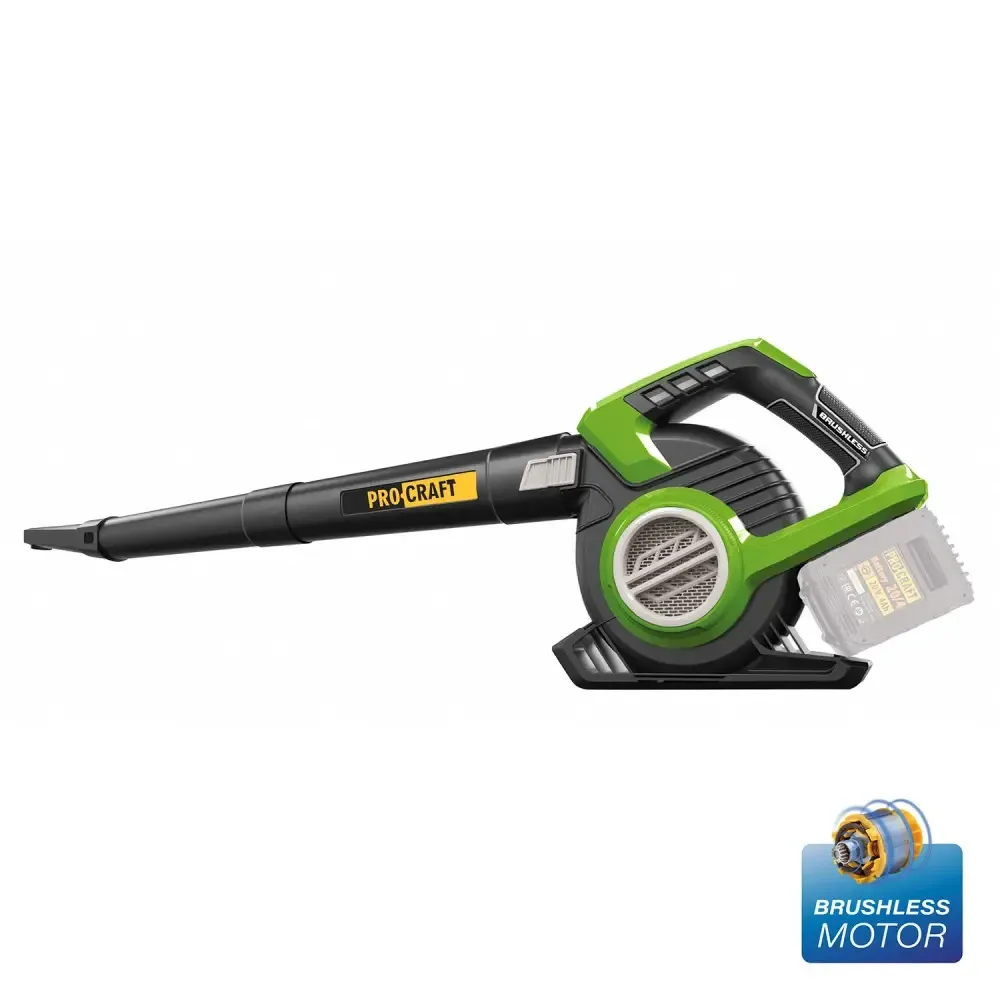 Аккумуляторный пылесос-воздуходувка Procraft VB20 (без акб и зу) Коломыя - изображение 1