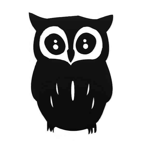 Декоративна дзеркальна сова на стіну, чорна Київ