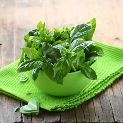 Базилік зелений 3гр Смачний Житомир