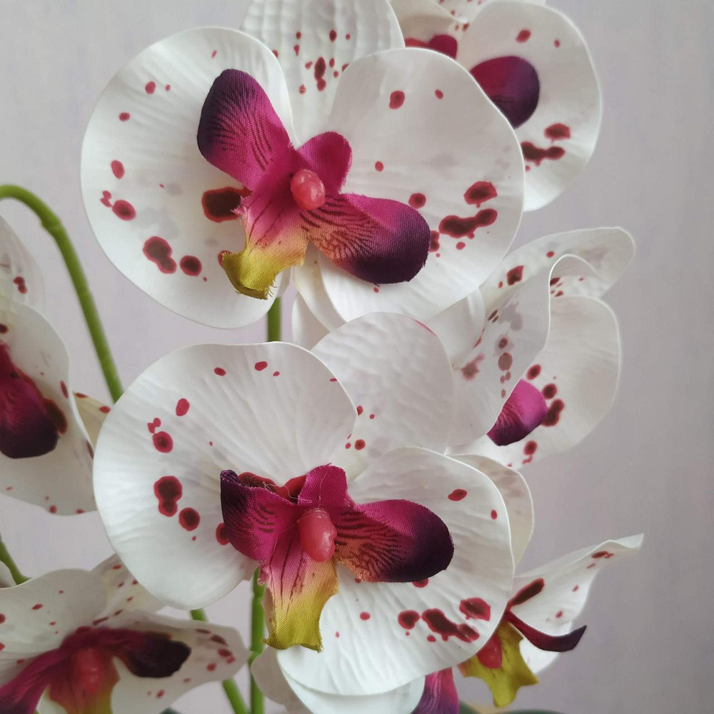 Штучна латексна міні орхідея в білому пластиковому кашпо на дві гілки біла в бордову крапку Дніпро - фото 5