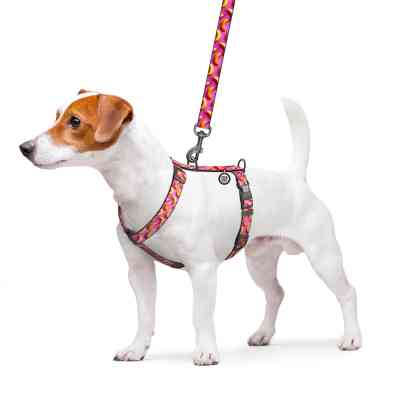 Шлея для собак WAUDOG Nylon анатомічна H-подібна з QR-паспортом "Банани на рожевому" пластиковий фастекс, M (344-4055) Вінниця