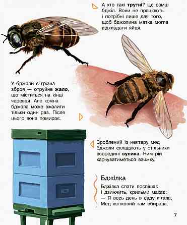 Детская энциклопедия про насекомых 614014 для дошкольников Винница