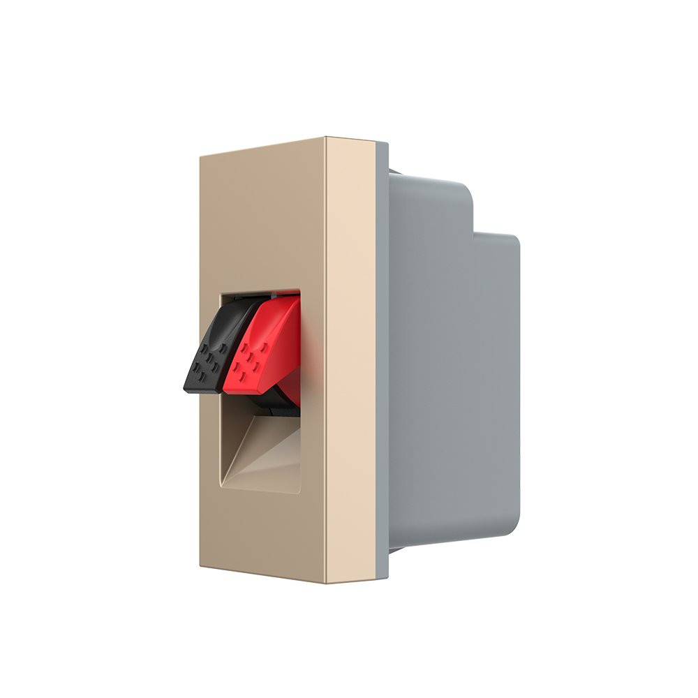 LIVOLO Hi-Fi аудіо розетка LIVOLO (Banana), золота, для колонок і підсилювачів, модуль 0.5 пост Коломия - фото 3