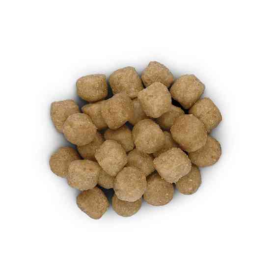 Hills Prescription Diet Canine d/d Dog Food Duck and Rice (Хіллс ПД Канін д/д Дог Фуд) для собак при алергії 2 кг Запоріжжя