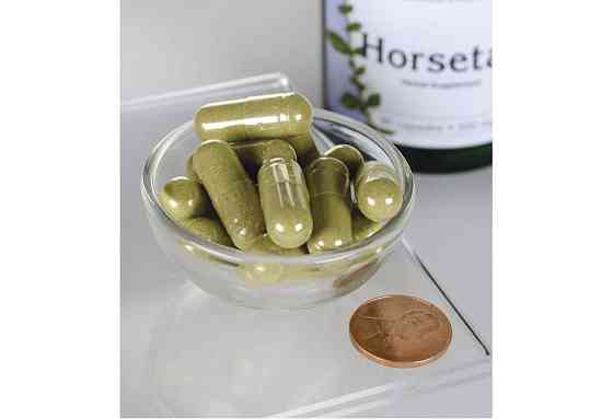 Хвощ Swanson Horsetail 500 mg 90 Caps Луцьк