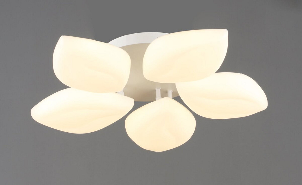 VALESO Люстра стельова світлодіодна VALESO 5 плафонів LED 60W Білий Сталь Акрил 3000K+6500K /5 Коломия - фото 1