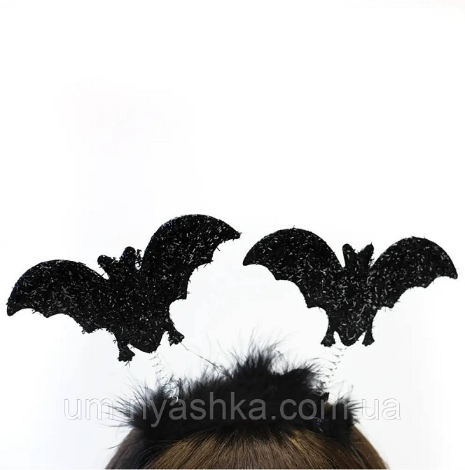 Обруч кажанчика Кривий Ріг - фото 2