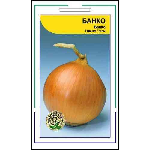 Семена лука Банко 1 г., Syngenta, Голландия Винница