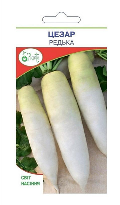 Насіння Редьки дайкон Цезар біла японська Київ - фото 1