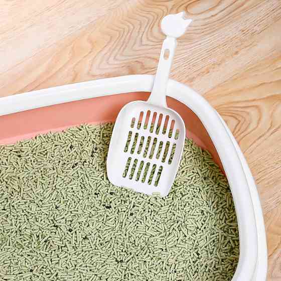 Туалет лоток для кошек с лопаткой Taotaopets 225501 46*38*13 см Pink Київ