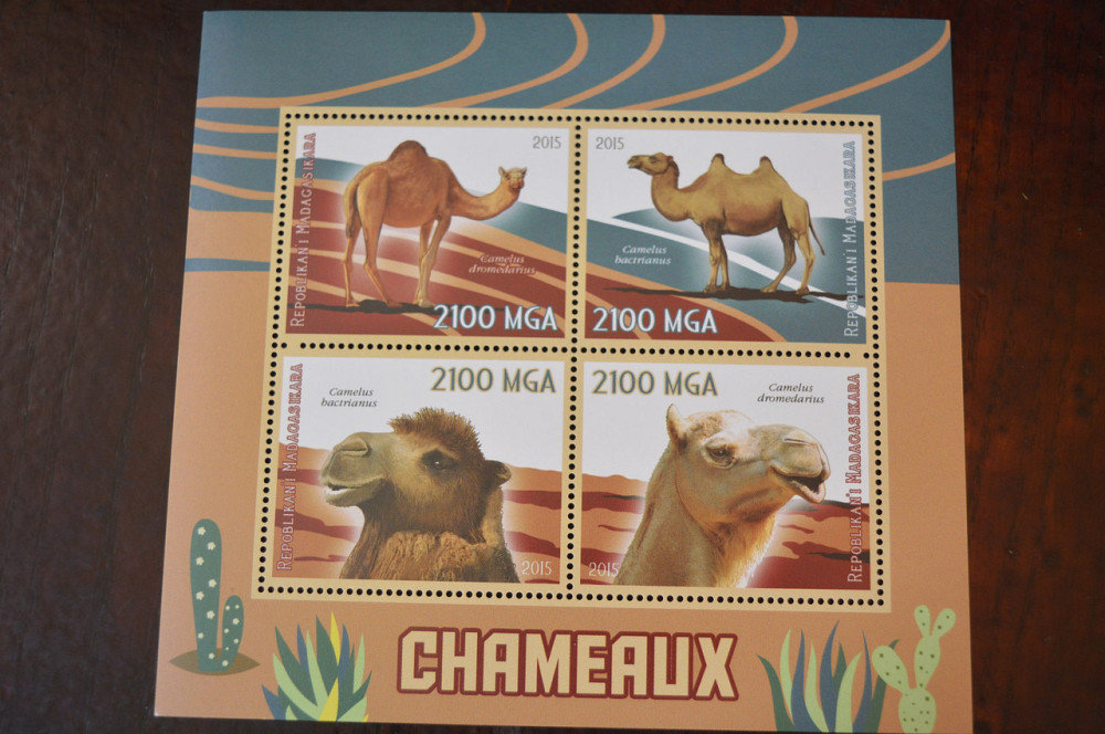 Мадагаскар. Фауна. Личности. Блок. (А-35) Полтава - фото 1