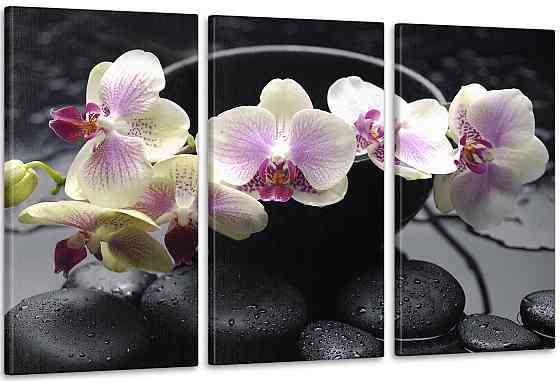 Модульна картина Орхідея Art-100_3a 100x150 см Київ