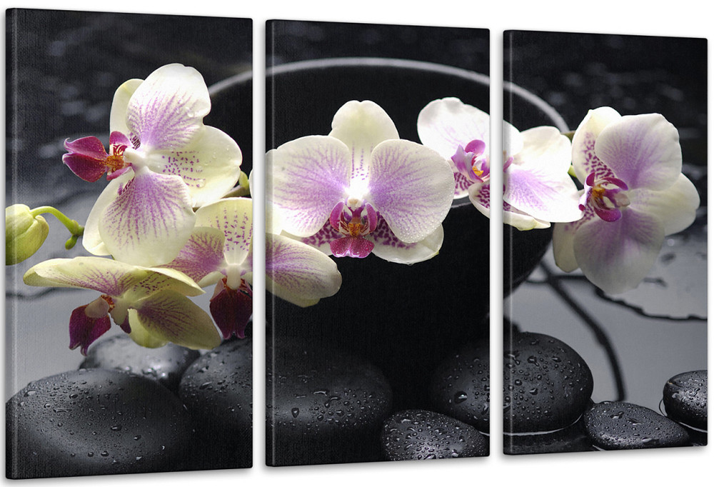 Модульна картина Орхідея Art-100_3a 100x150 см Київ - фото 1