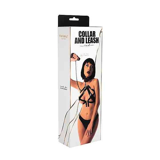 Нашийник Fantasy зі повідцем Collar with detachable leash Sex Aura Київ