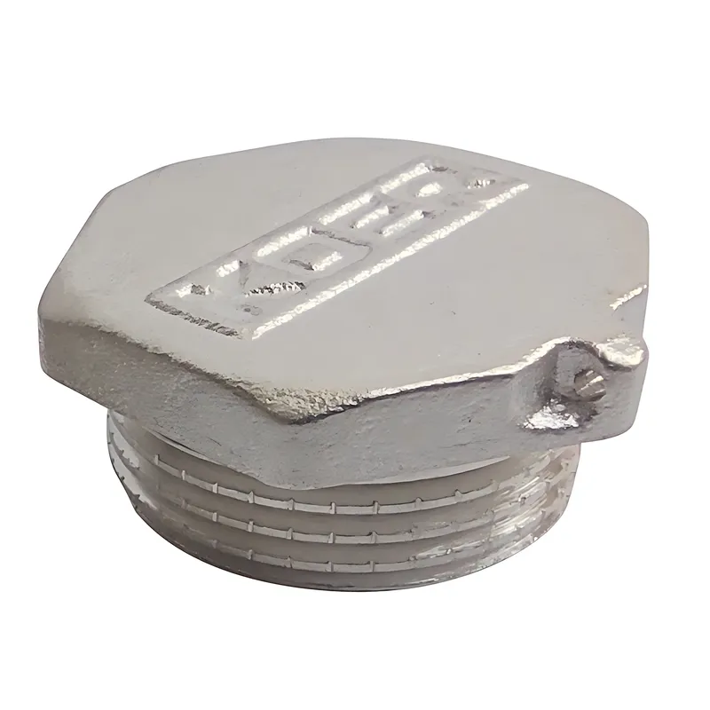 Різьбовий фітинг заглушка 3/4" З Koer KF.P08M (KF0005) Київ - фото 1