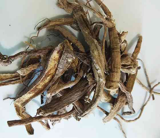 Стегнець камелоломковий (корінець), 1 кг. MasterSEM Київ