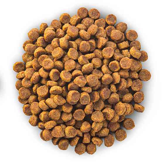 Hills Science Plan Canine Adult Small Mini Lamb Rice (Хиллс СП для собак 1-6 лет мелких пород Ягненок Рис) Запорожье